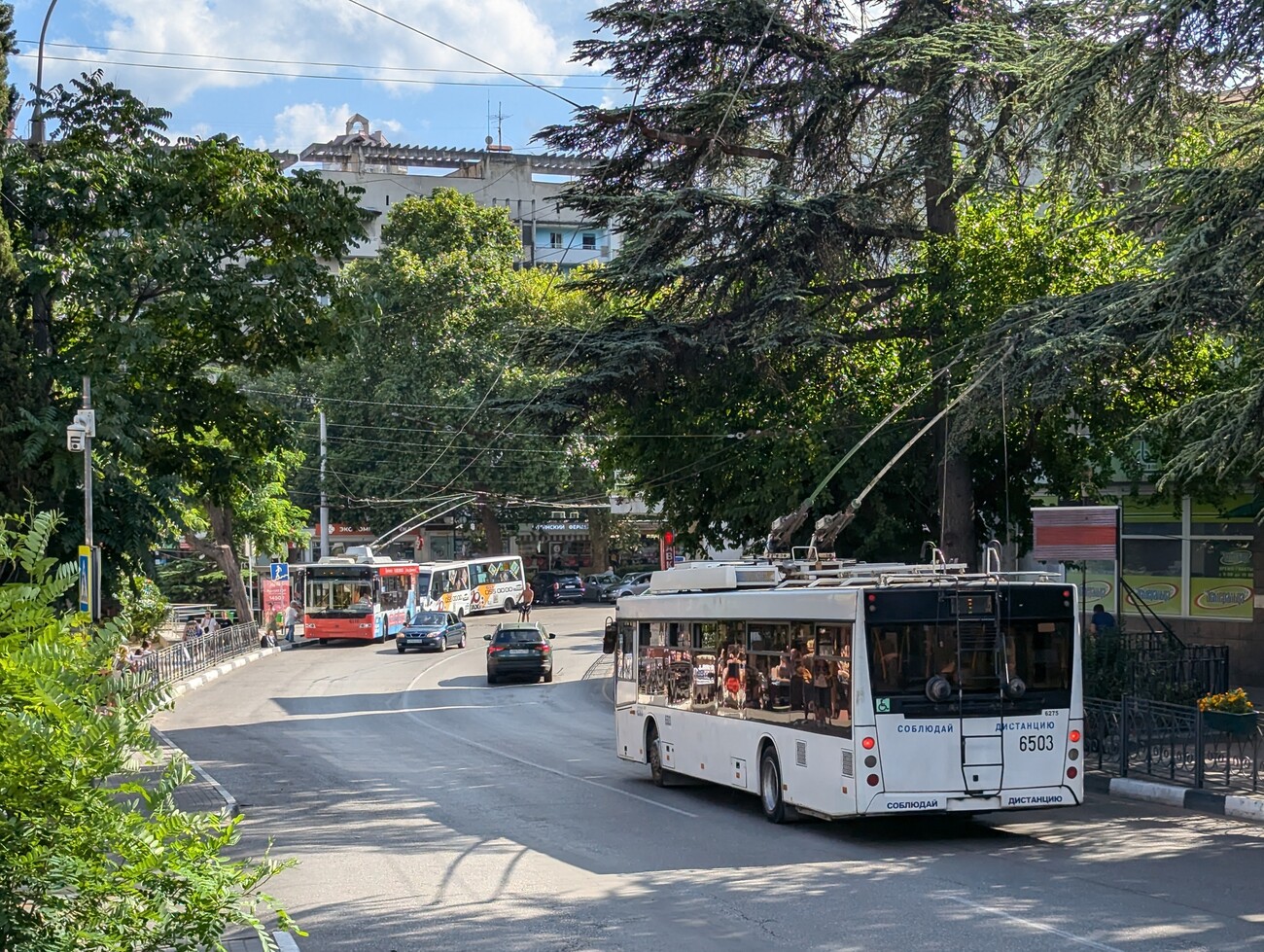 Крымский троллейбус, СВАРЗ-МАЗ-6275 № 6503