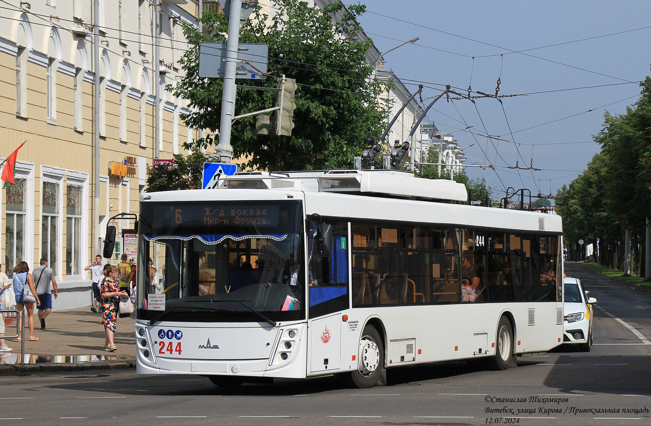 Витебск, МАЗ-203Т70 № 244