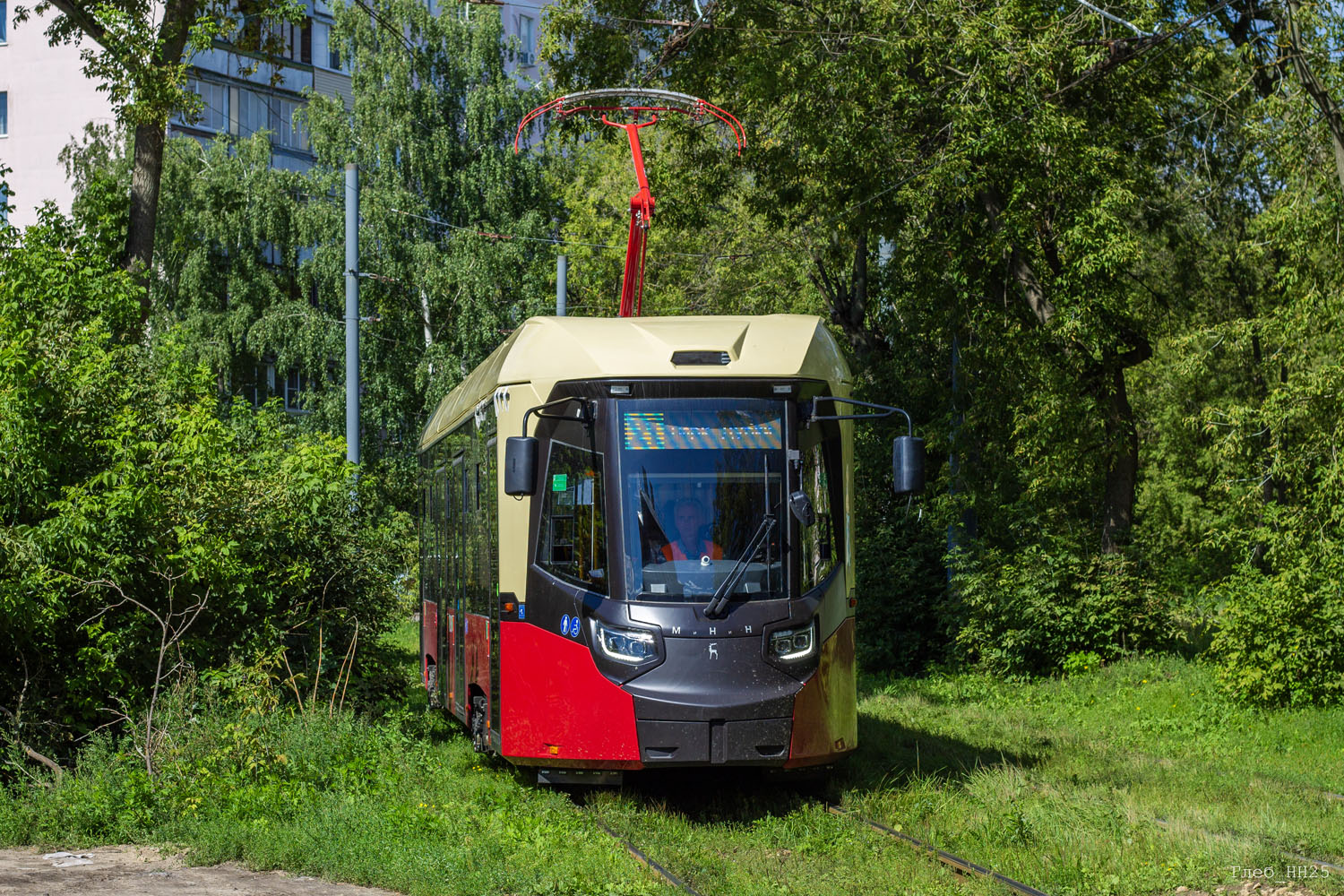 Нижний Новгород, БКМ Т811 «МиНиН» № 2808