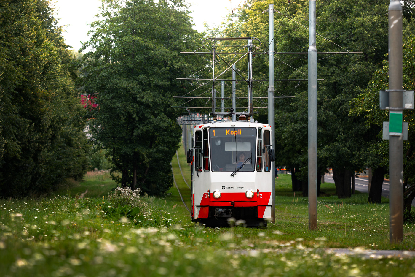 Таллин, Tatra KT4D № 175