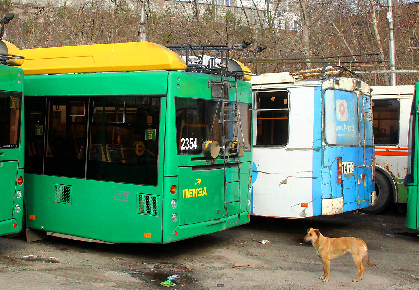 Транспорт и животные