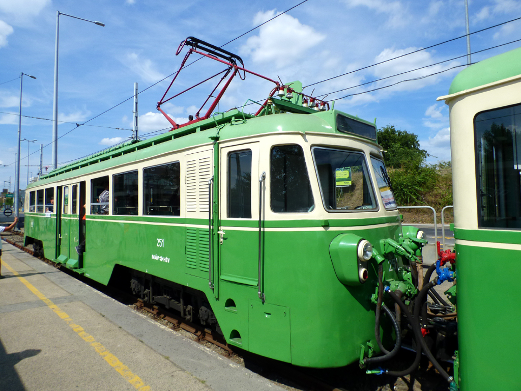 Будапешт, M VIII (DJJ) № 251 (M 251)