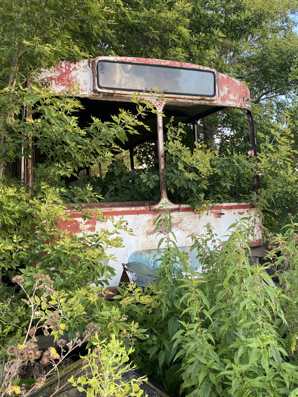 Омск, ЗиУ-682В № 169