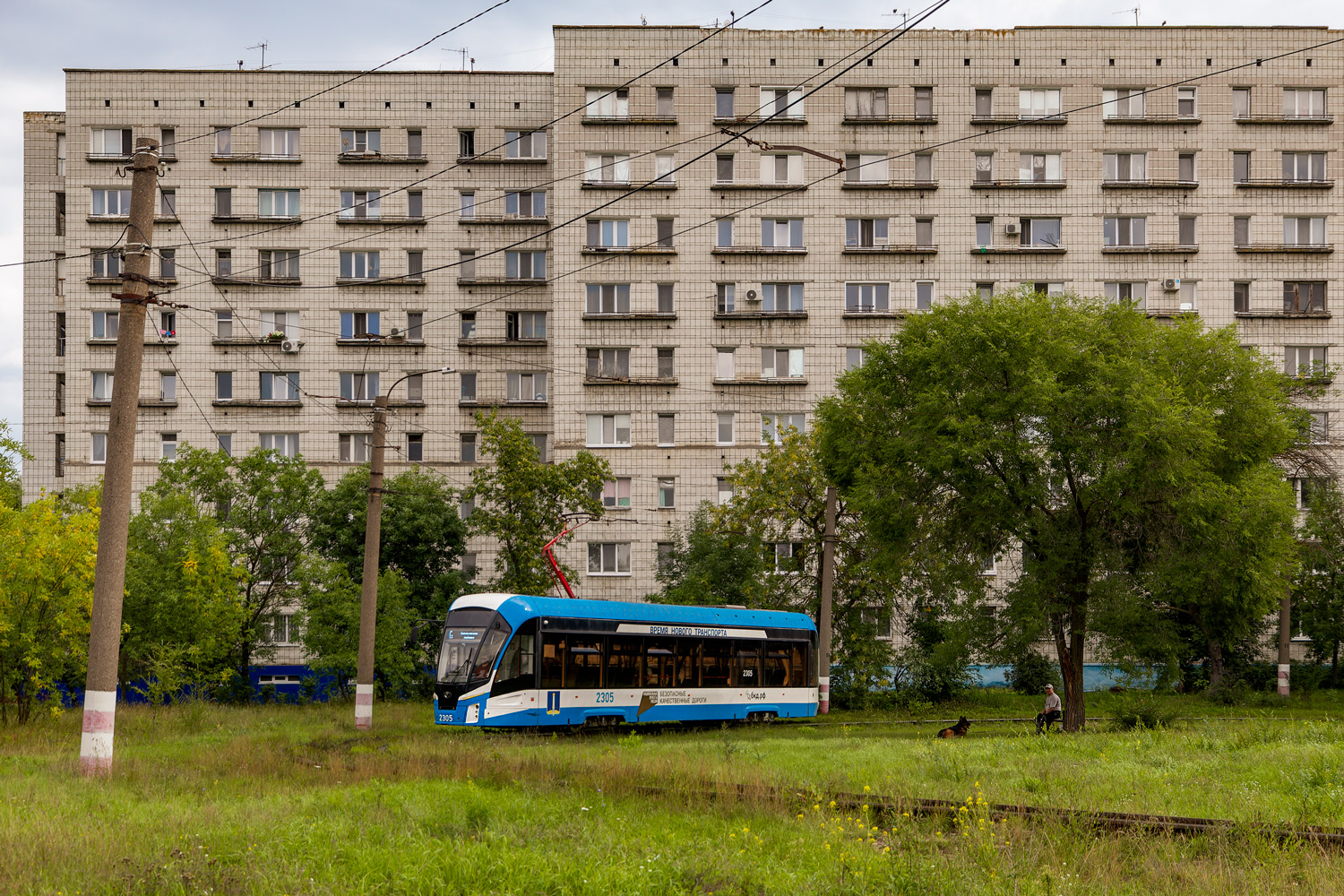 Ульяновск, 71-911ЕМ «Львёнок» № 2305