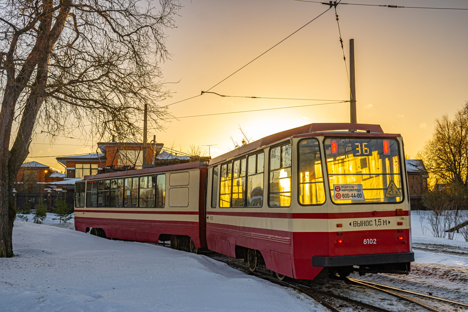 Санкт-Петербург, 71-147К (ЛВС-97К) № 8102