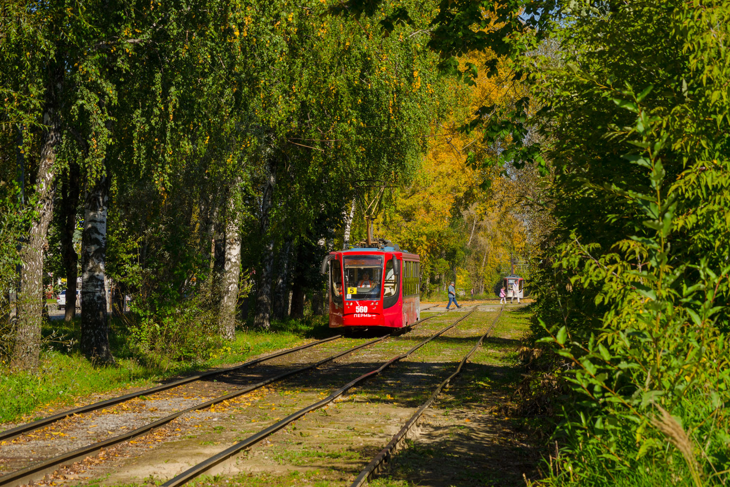 Пермь, 71-623-00 № 560