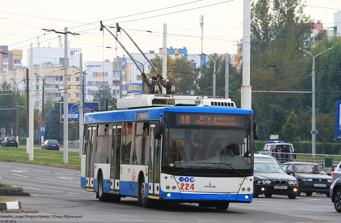 Витебск, МАЗ-203Т70 № 224
