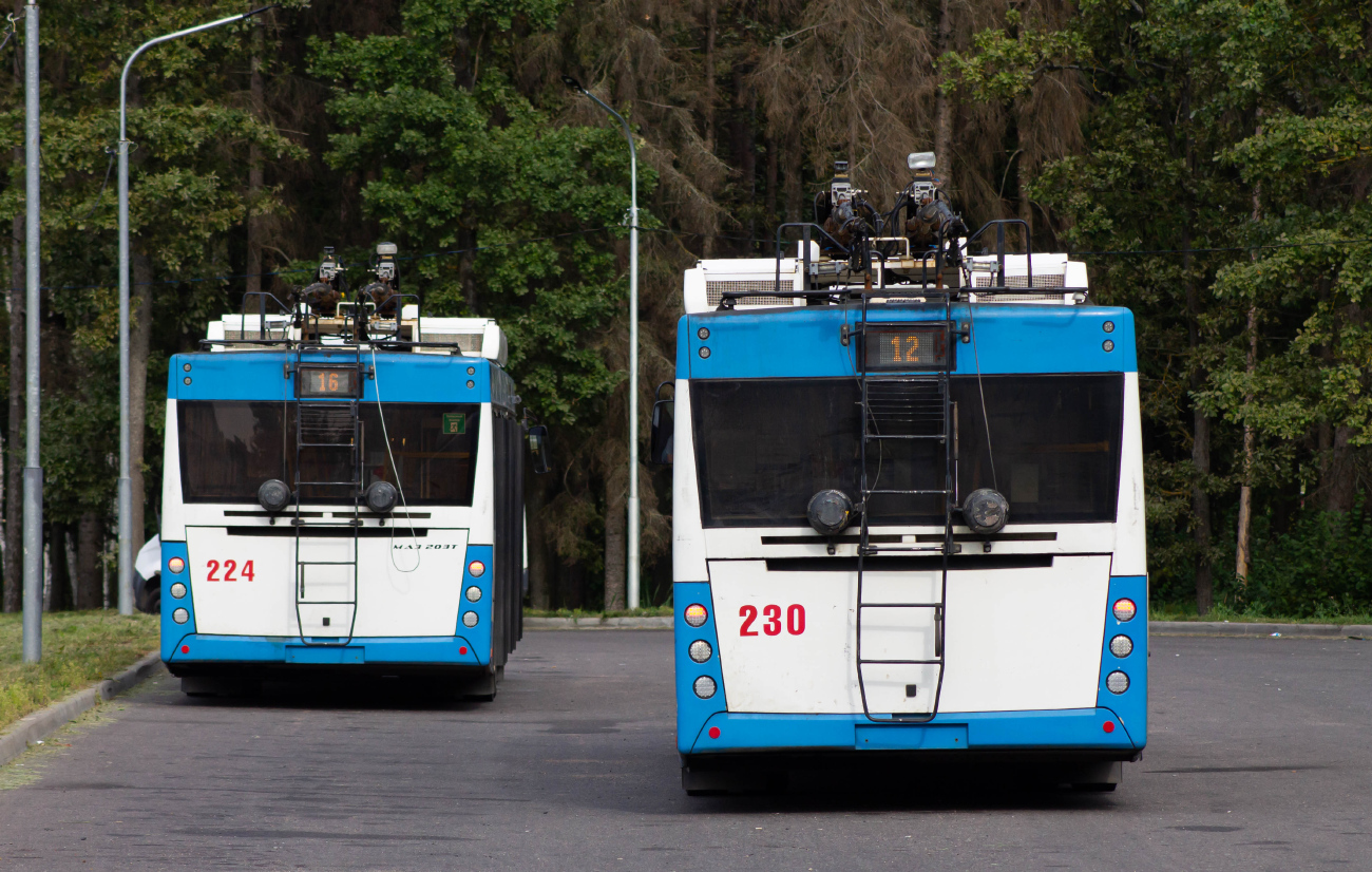 Витебск, МАЗ-203Т70 № 230