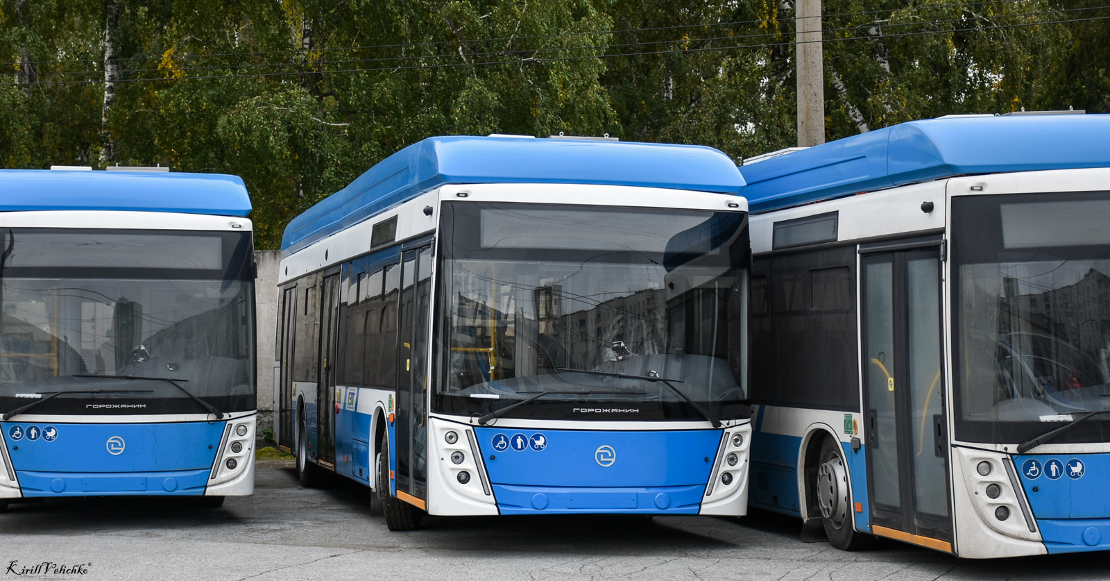 Новосибирск, УТТЗ-6241.01 «Горожанин» № 4585