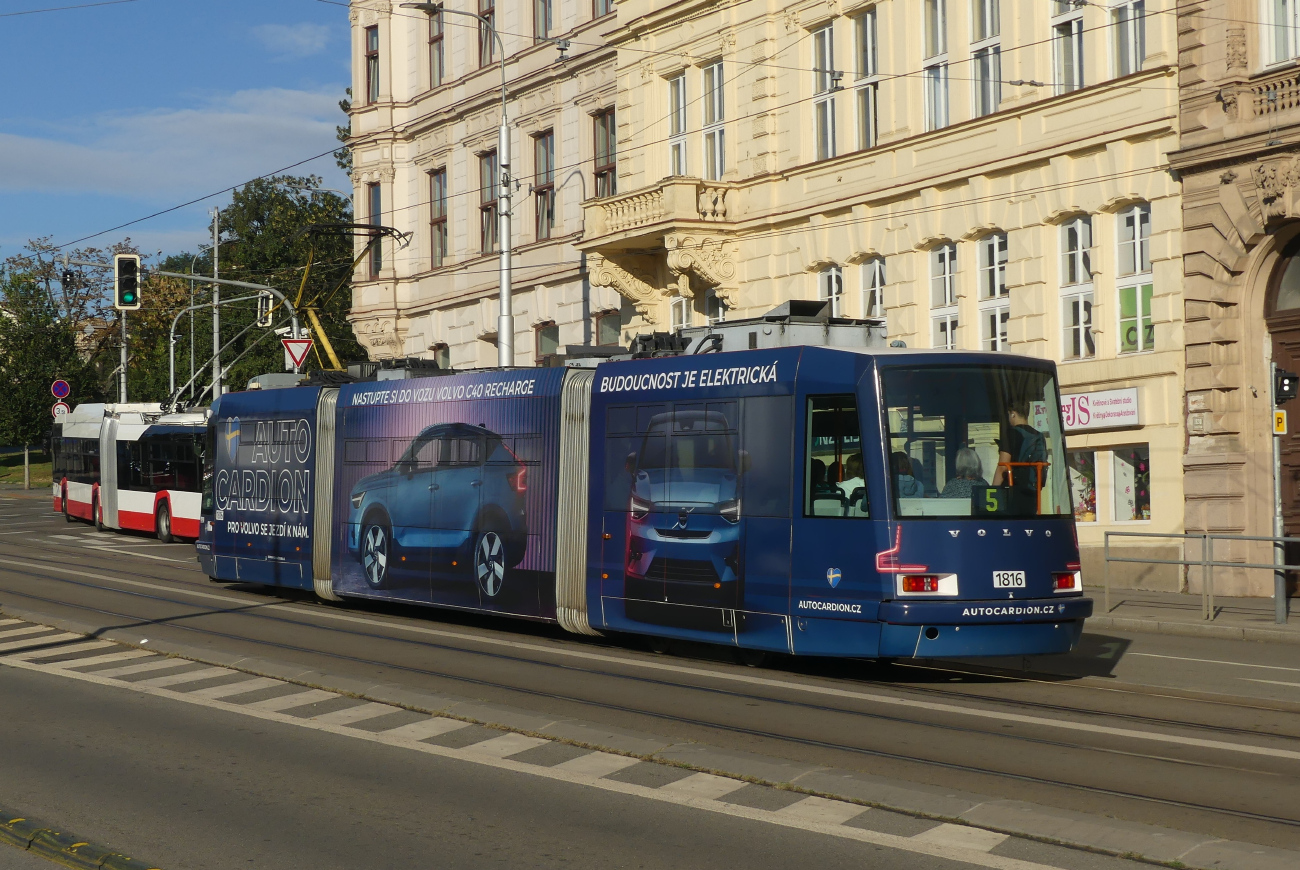 Брно, Škoda 03T6 Anitra № 1816