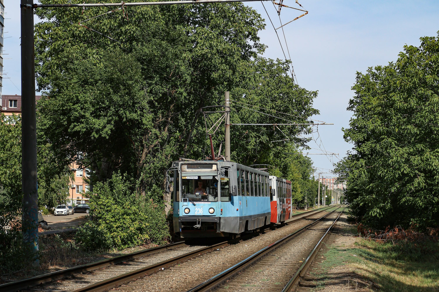 Краснодар, 71-608К № 236