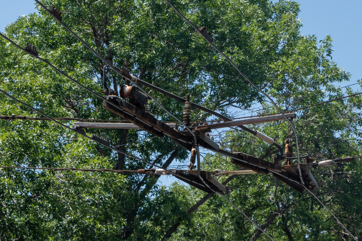 Алматы — Энергохозяйство