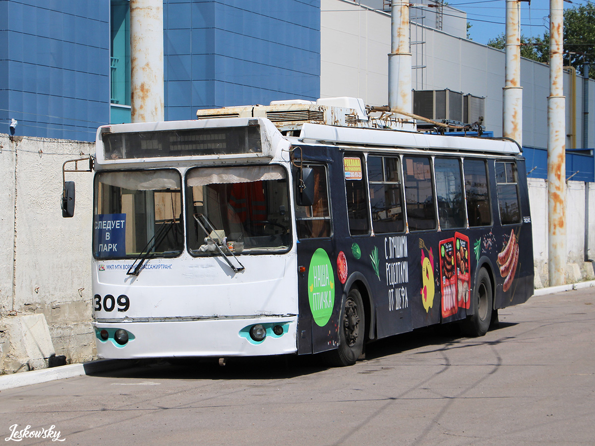 Воронеж, ЗиУ-682Г-016.02 № 309