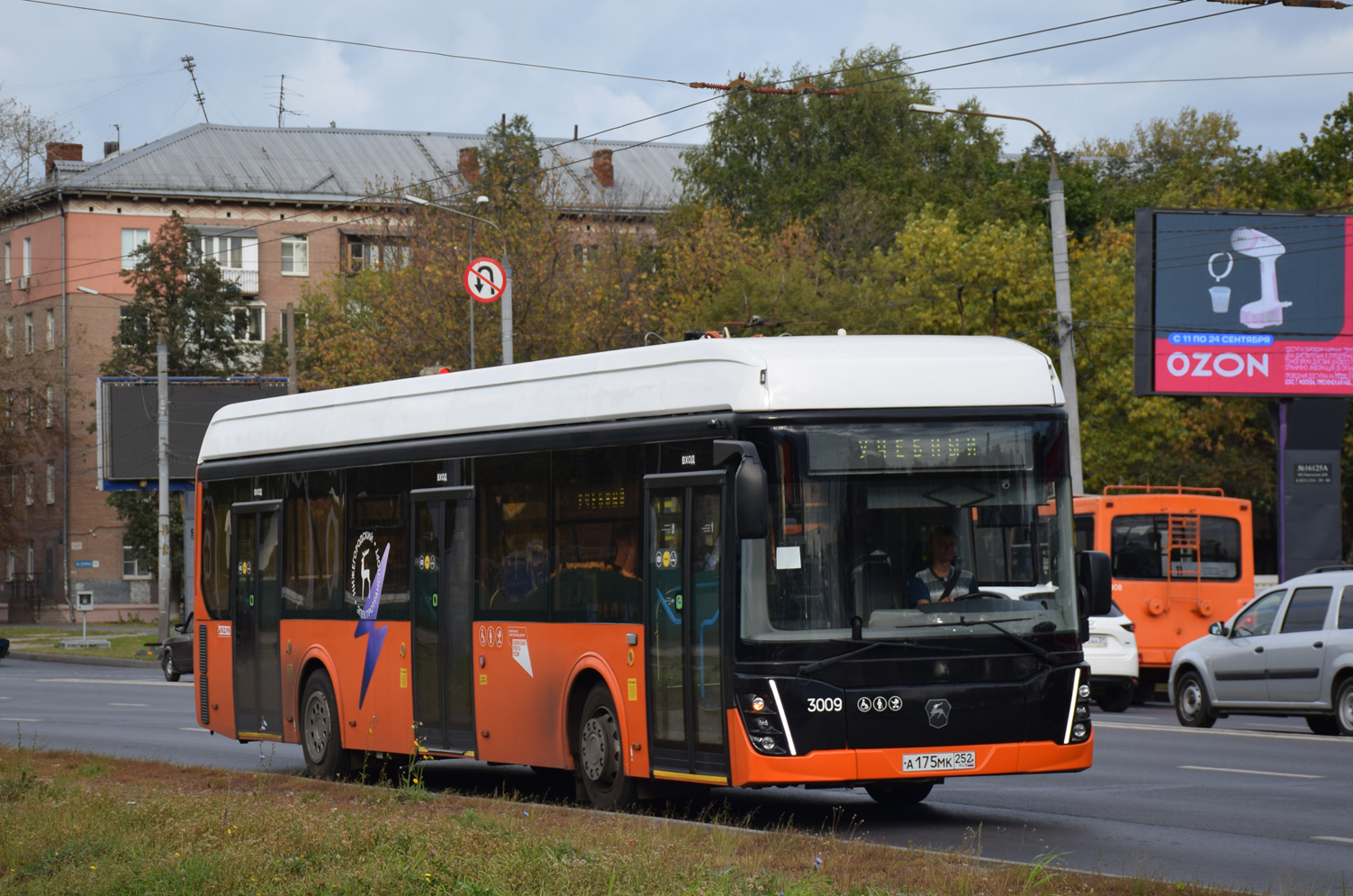 Нижний Новгород, ЛиАЗ-6274 № 3009