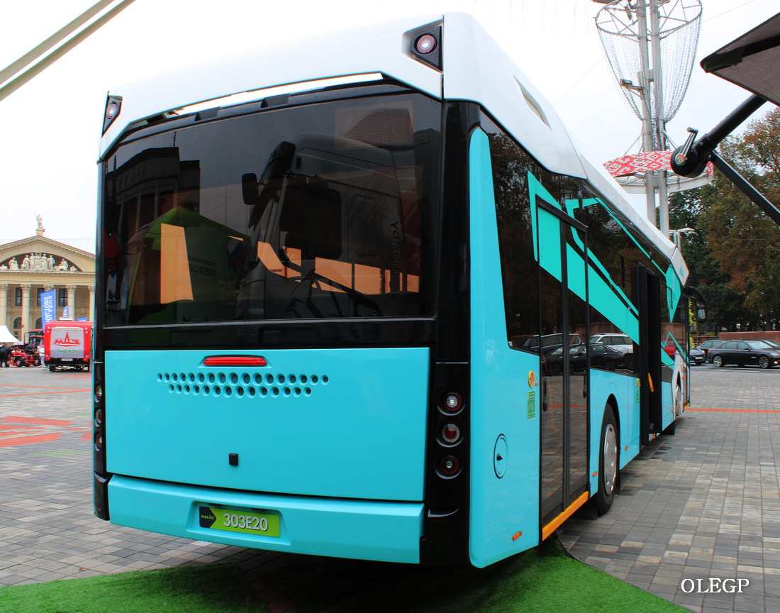 Жодино, МАЗ-303Е20 № Б/Н-05