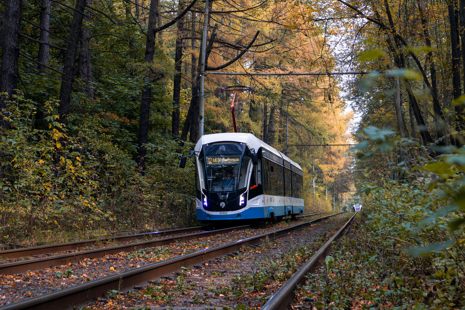 Москва, 71-931М «Витязь-М» № 31302