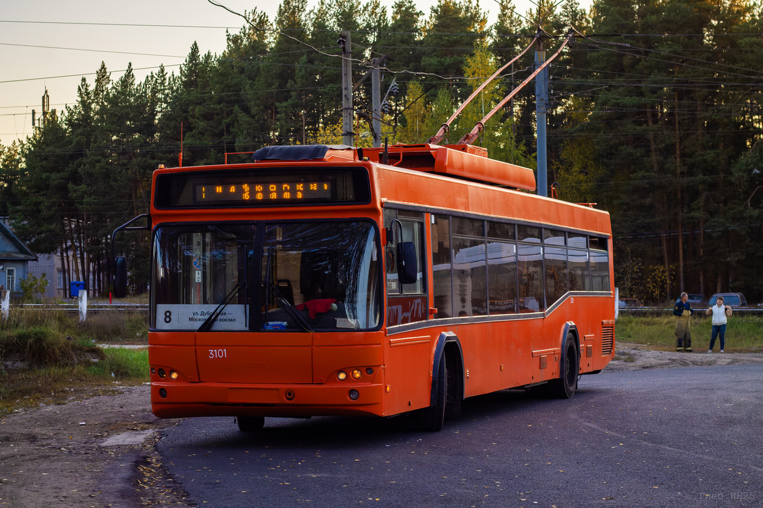 Нижний Новгород, СВАРЗ-МАЗ-6235.00 № 3101