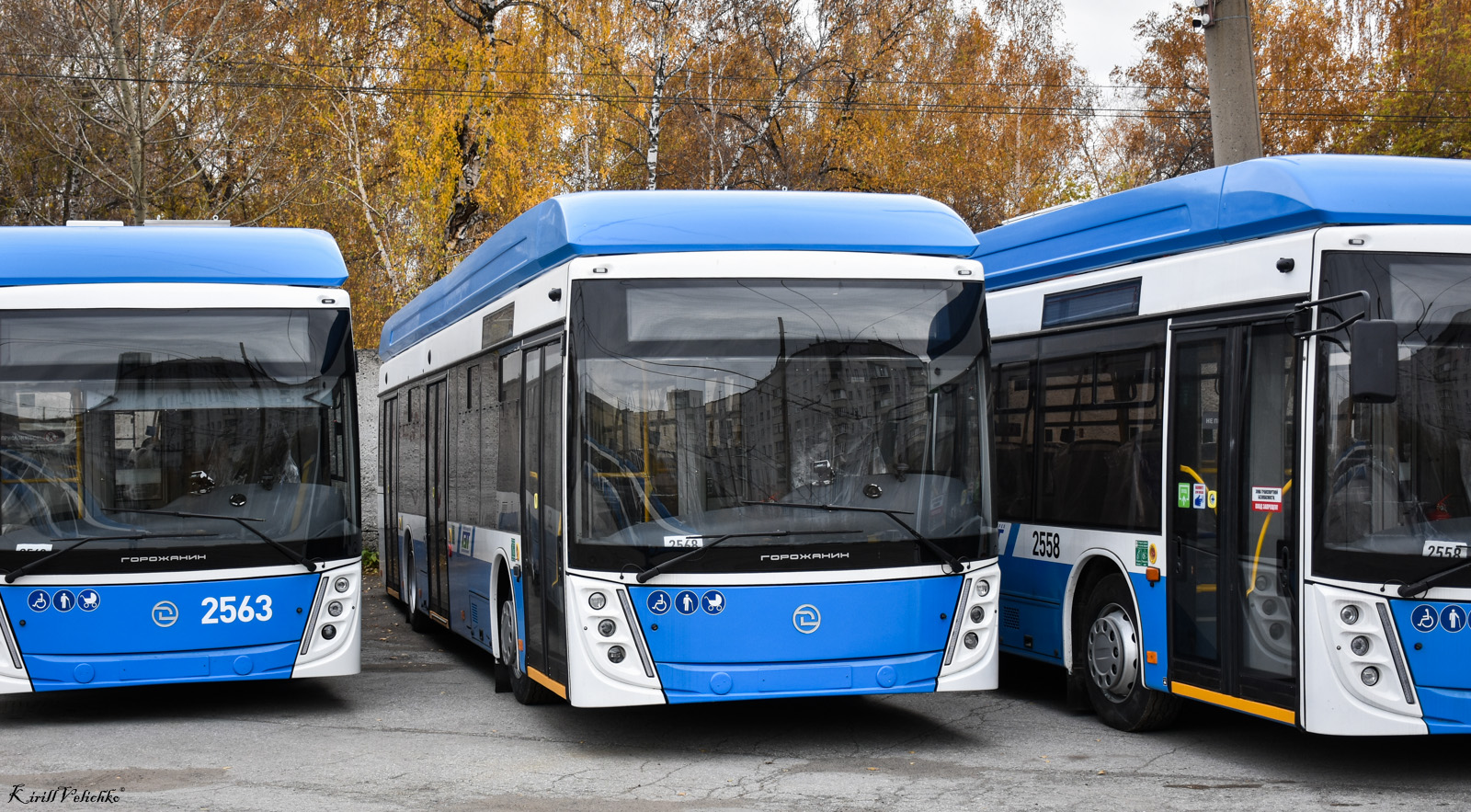 Novosibirsk, UTTZ-6241.01 “Gorozhanin” č. 2568