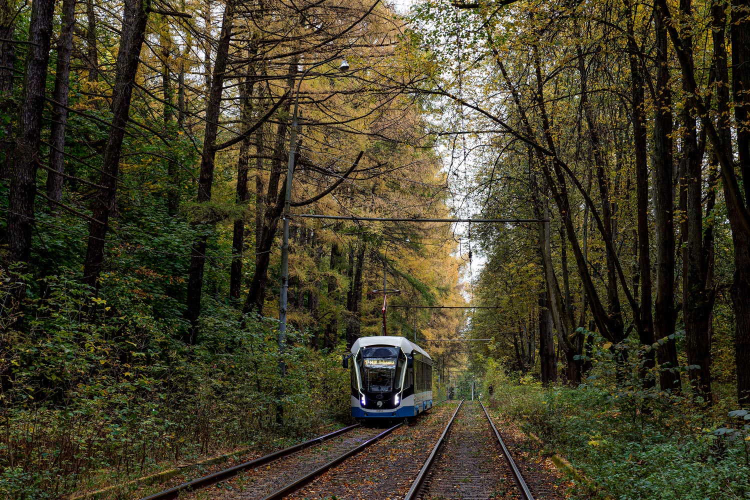 Москва, 71-931М «Витязь-М» № 31259