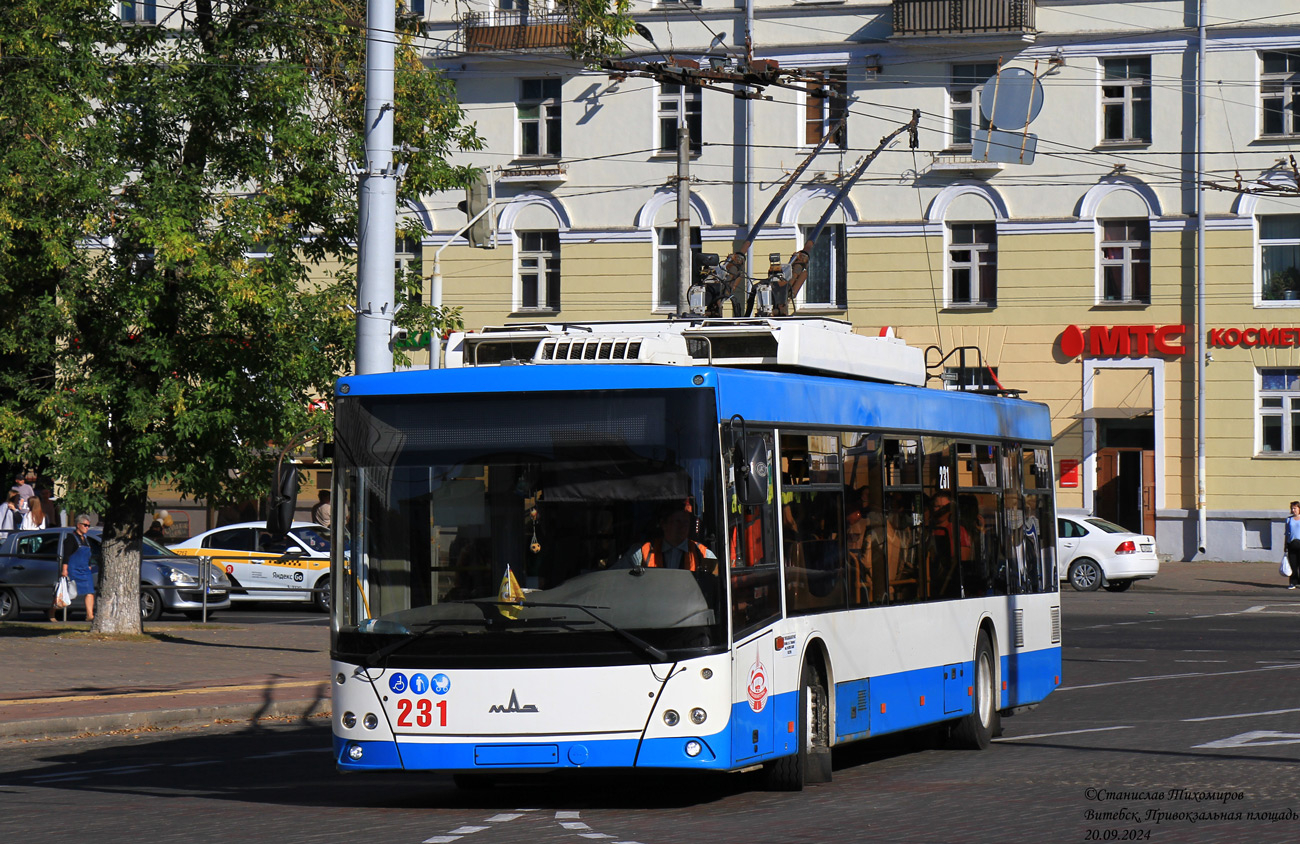 Витебск, МАЗ-203Т70 № 231