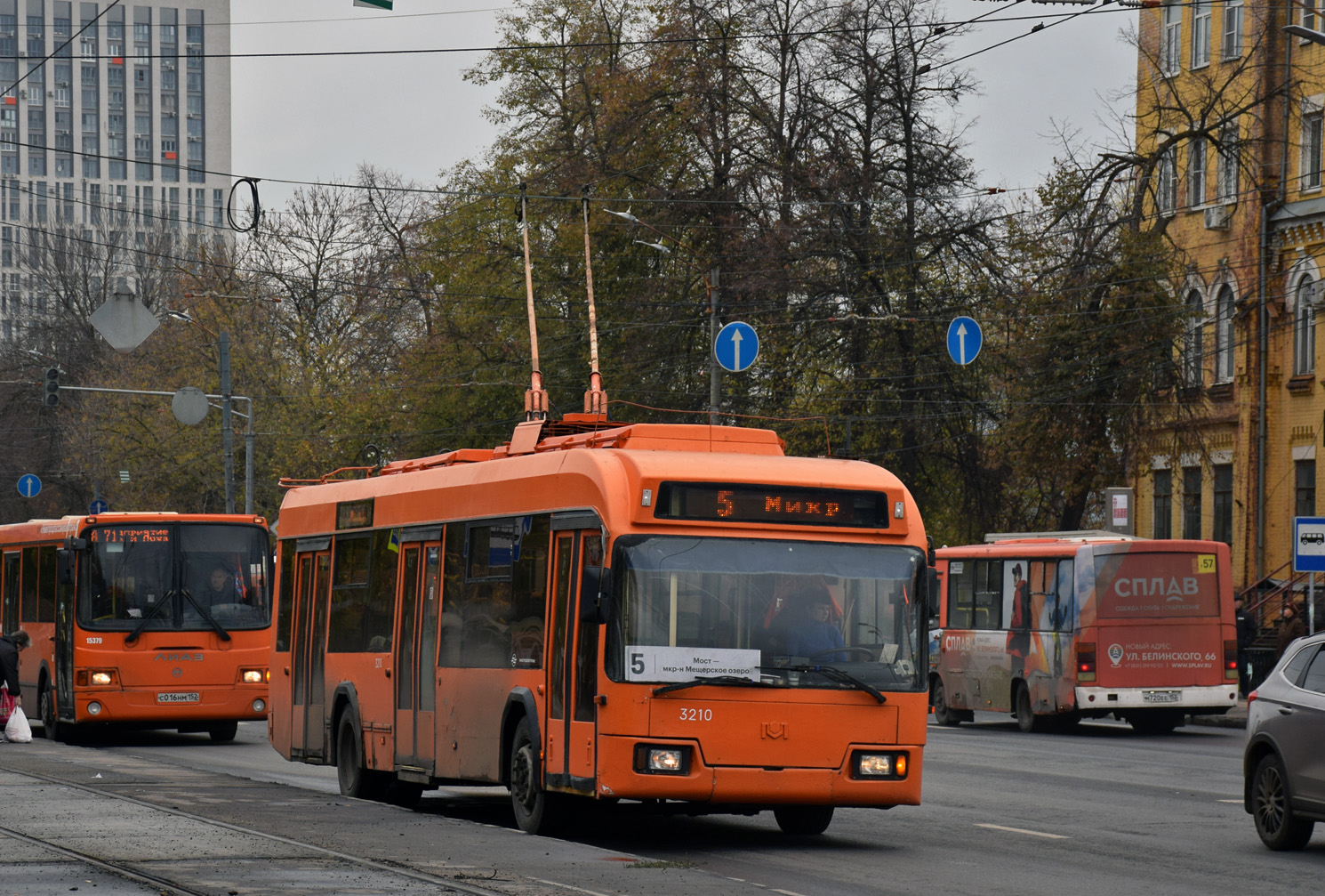 Žemutinis Naugardas, BKM 321 nr. 3210