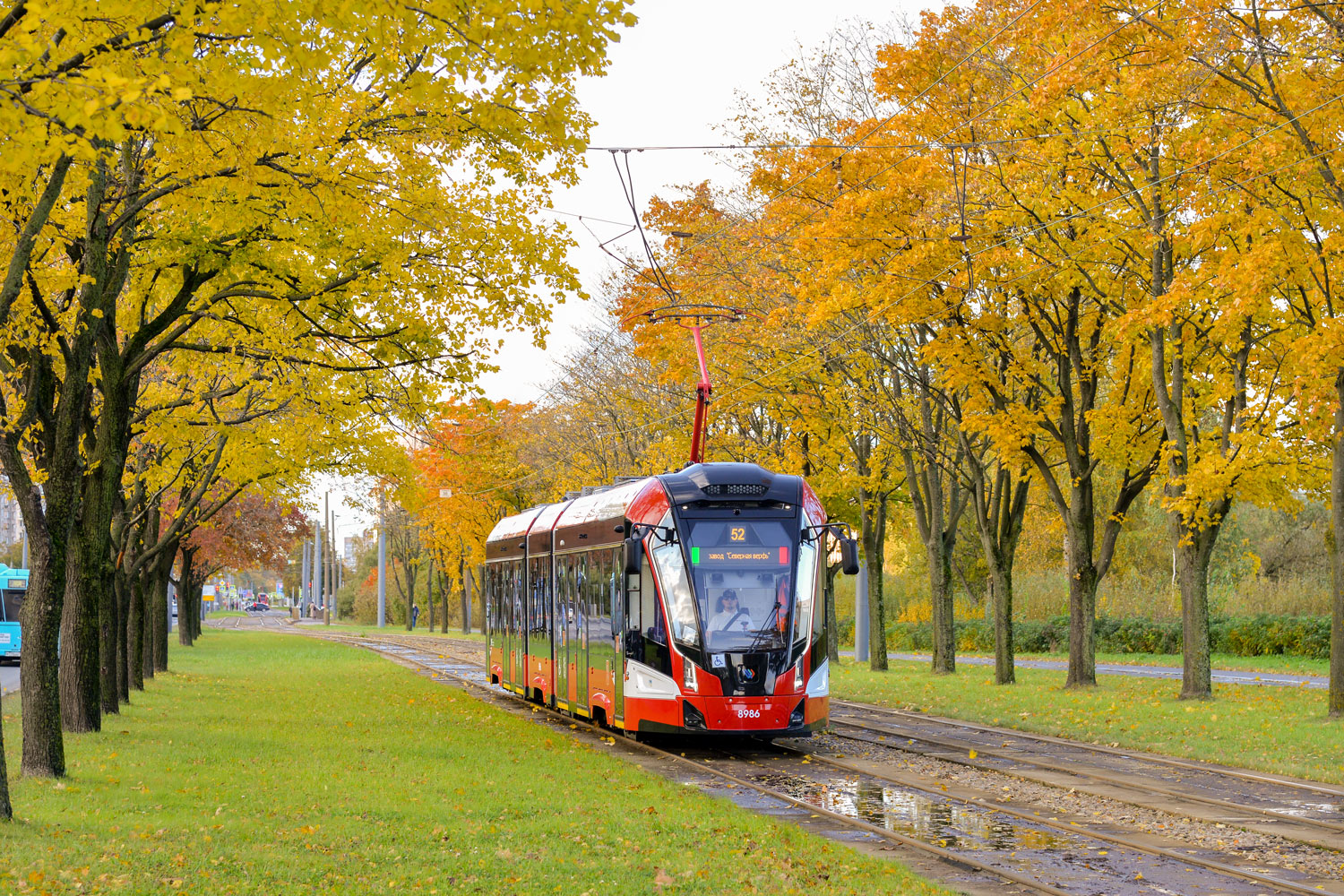 Санкт-Петербург, 71-931М «Витязь-М» № 8986