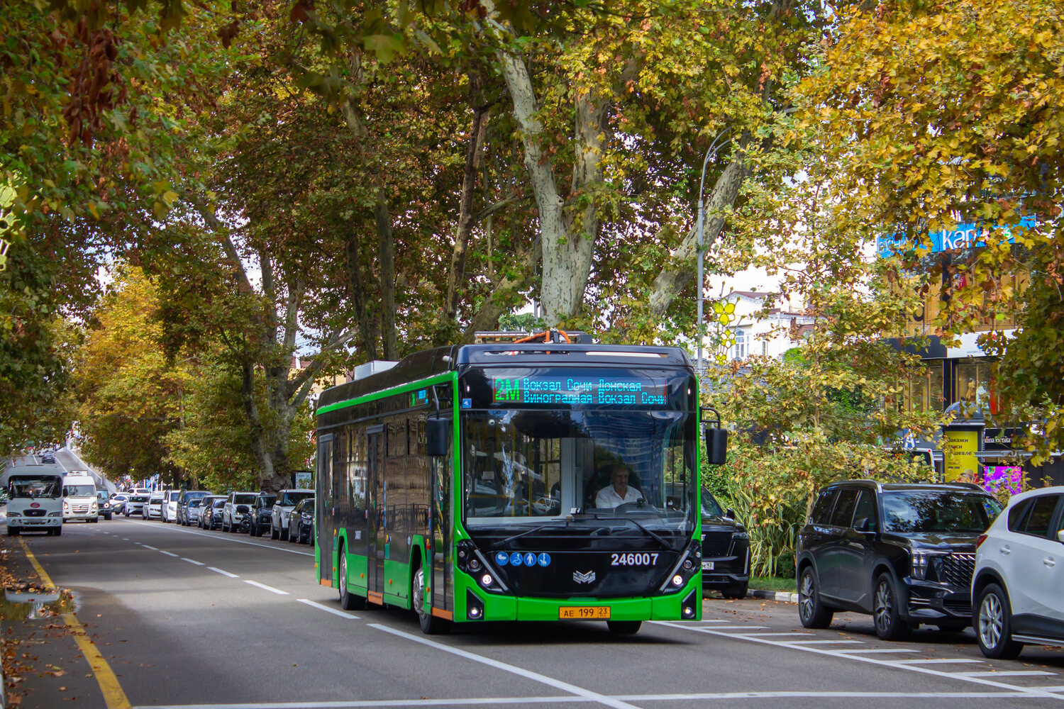 Soči, BKM E321 “Olgerd” № 246007