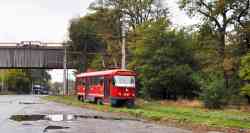 2442 КБ