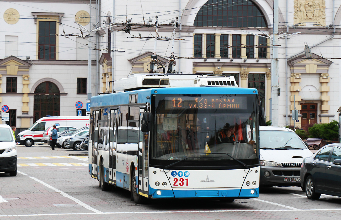 Витебск, МАЗ-203Т70 № 231