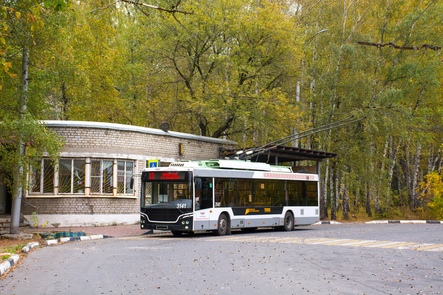 Рязань, МАЗ-203Т70 № 3141