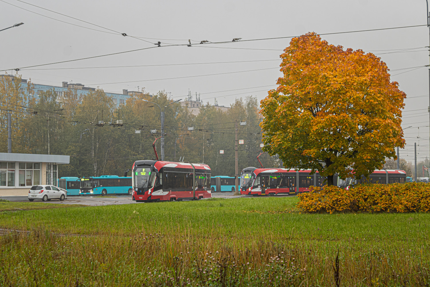 Санкт-Петербург, 71-923М «Богатырь-М» № 7826