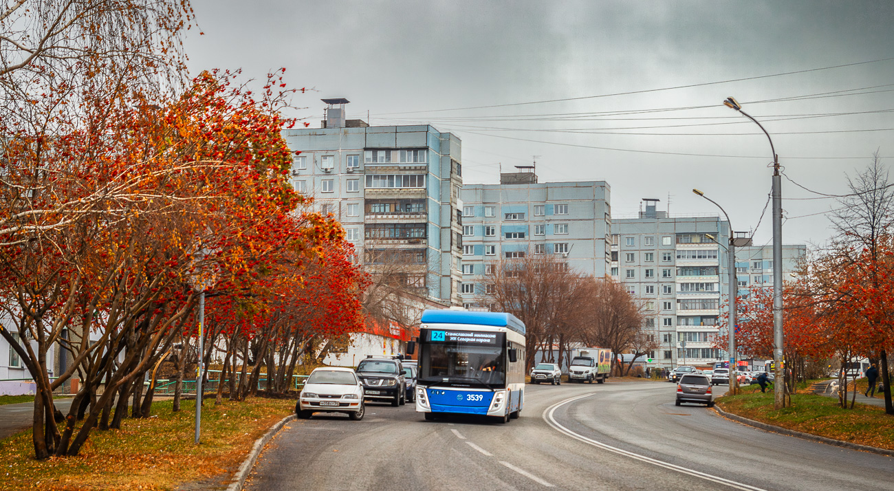 Новосибирск, УТТЗ-6241.01 «Горожанин» № 3539