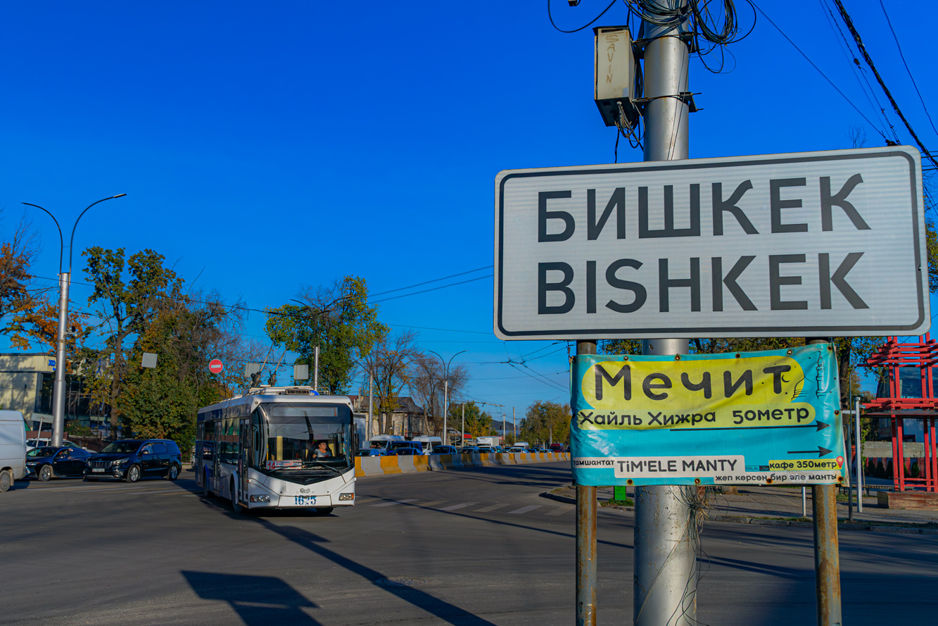 Бишкек — Троллейбусные линии и кольца