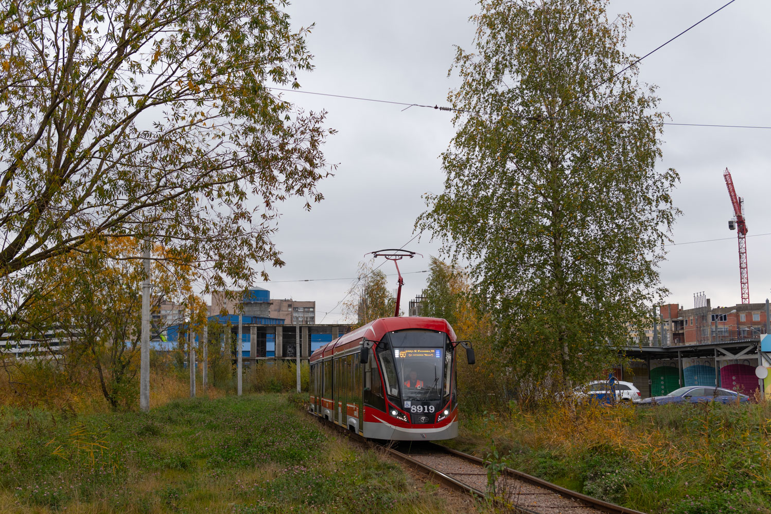 Санкт-Петербург, 71-931М «Витязь-М» № 8919