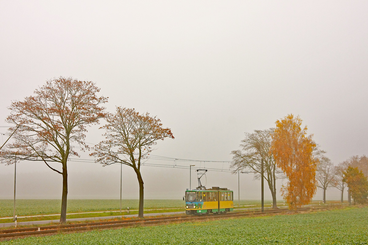 Шёнайхе – Рюдерсдорф, Tatra KT4DM № 21