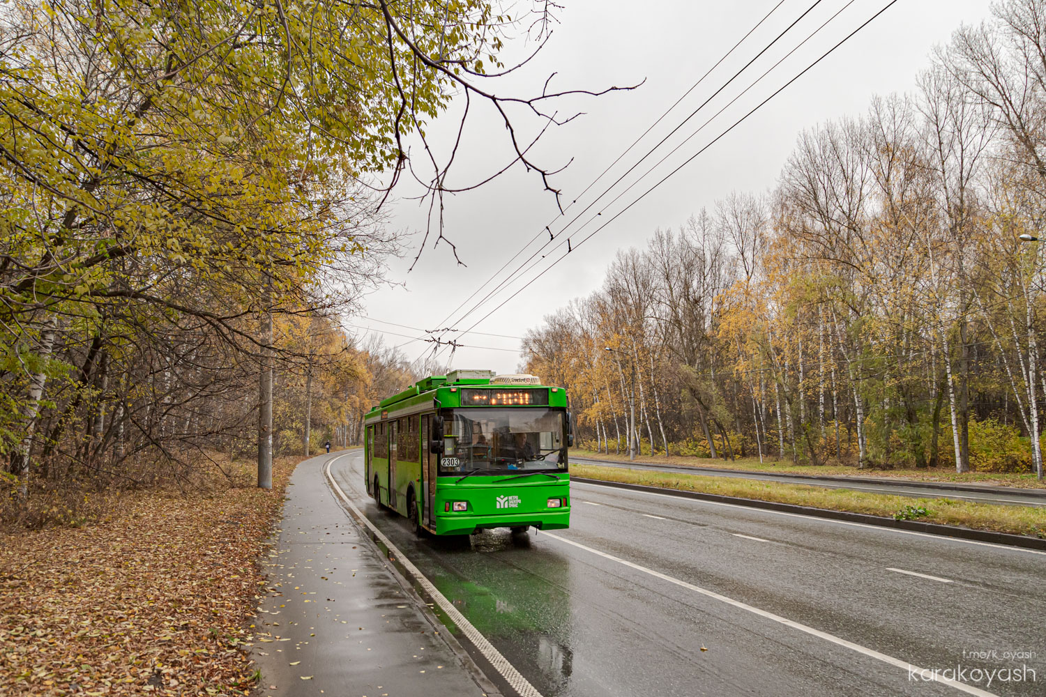 Kasan, Trolza-5275.03 “Optima” Nr. 2303