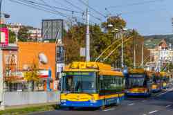 12443 КБ