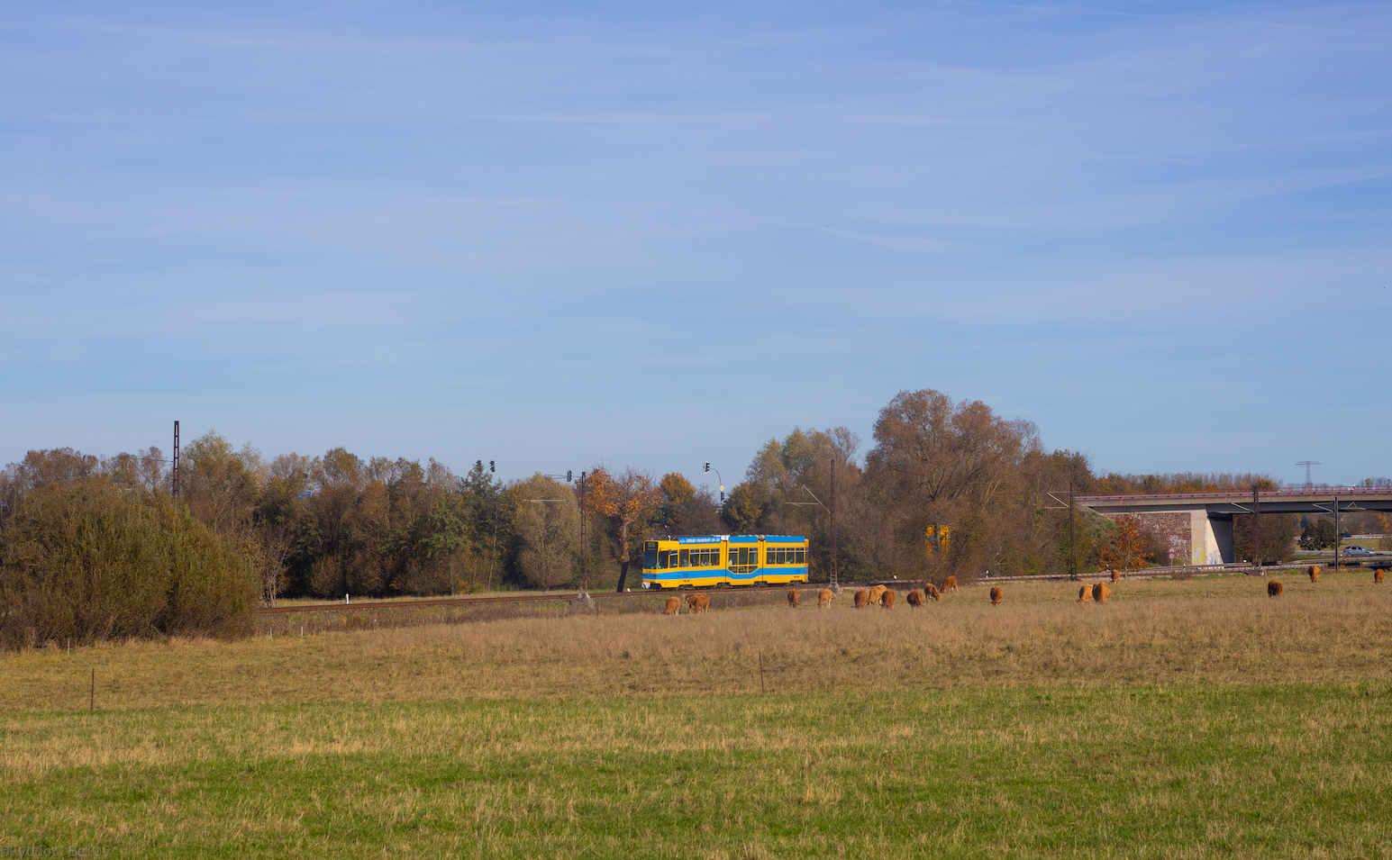 Гота, Schindler/Siemens Be 4/8 № 204