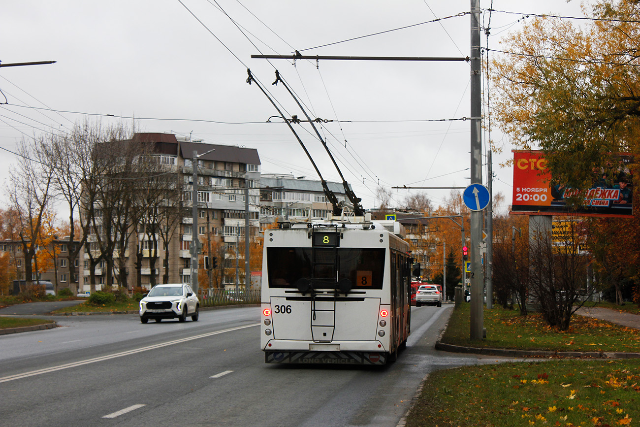 Владимир, МАЗ-203Т20 № 306