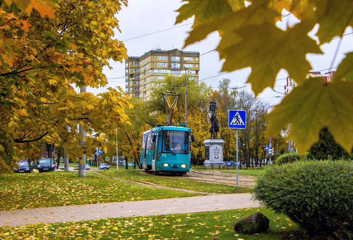 Минск, БКМ 60102 № 113