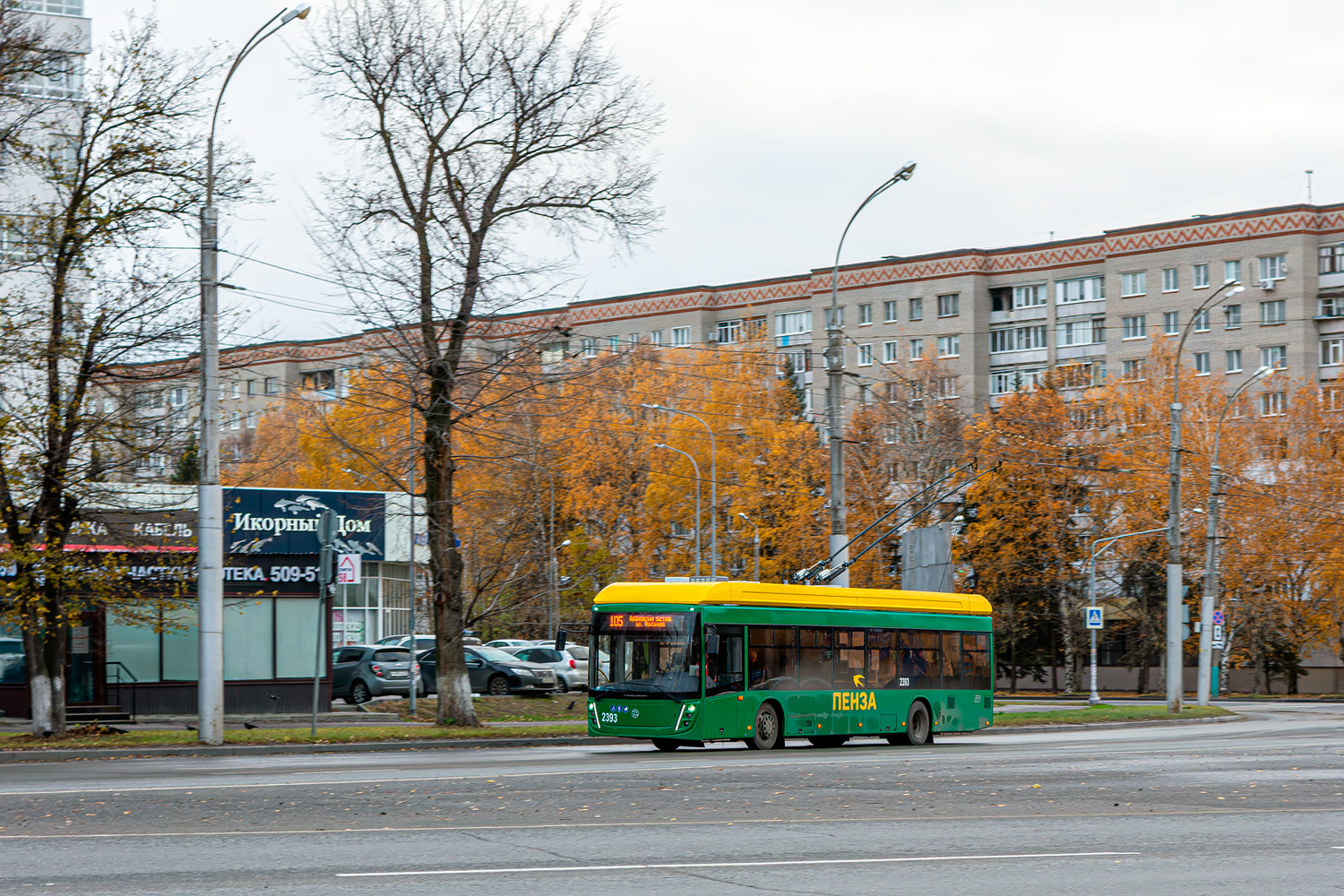 Пенза, УТТЗ-6241.01 «Горожанин» № 2393