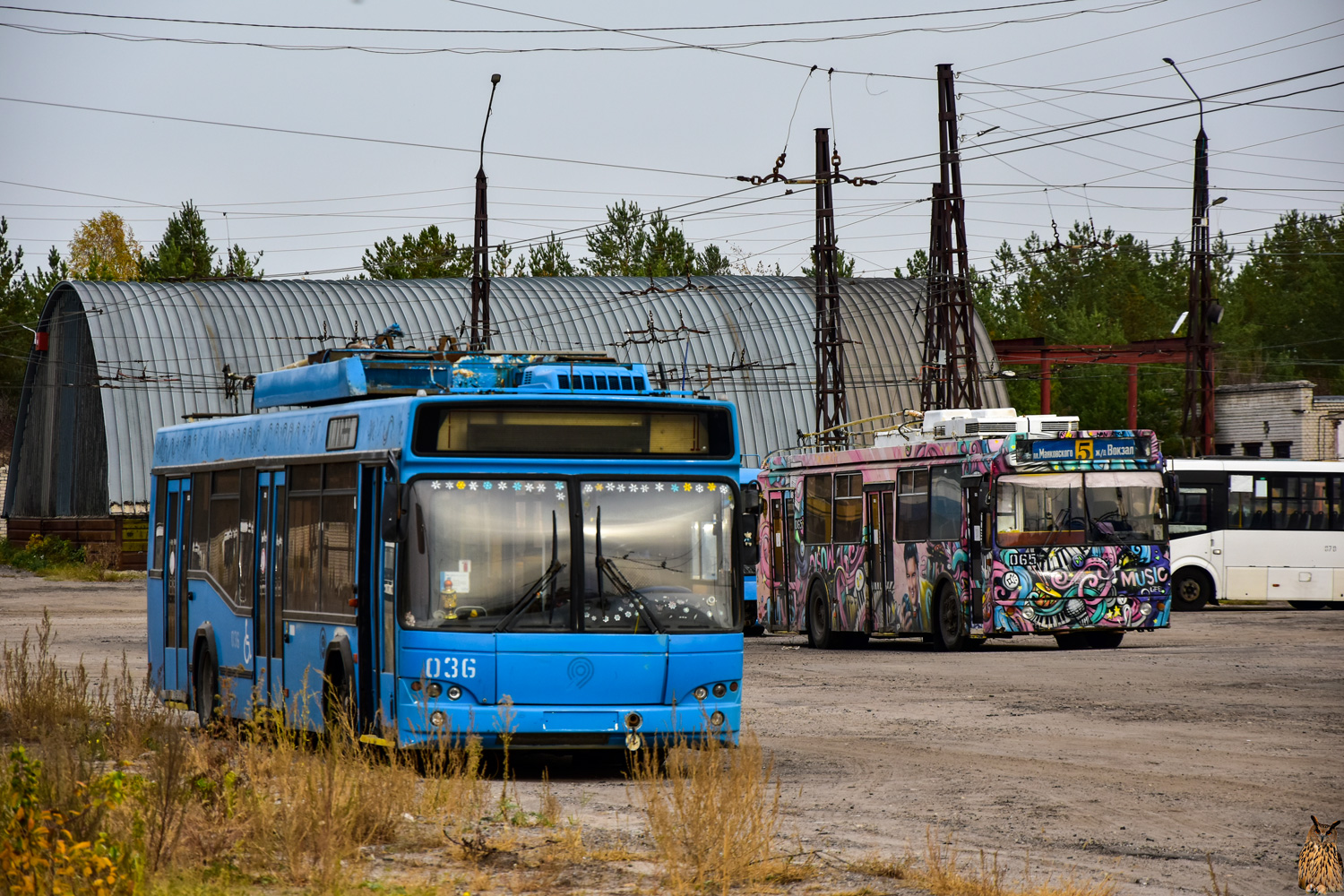 Дзержинск, СВАРЗ-МАЗ-6235.00 № 036