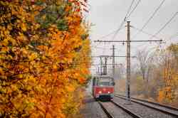 769 КБ