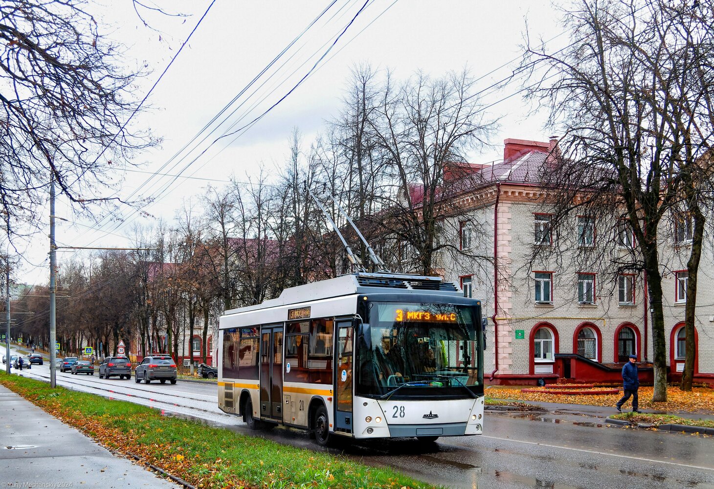 Vidnoje, MAZ-206T № 28