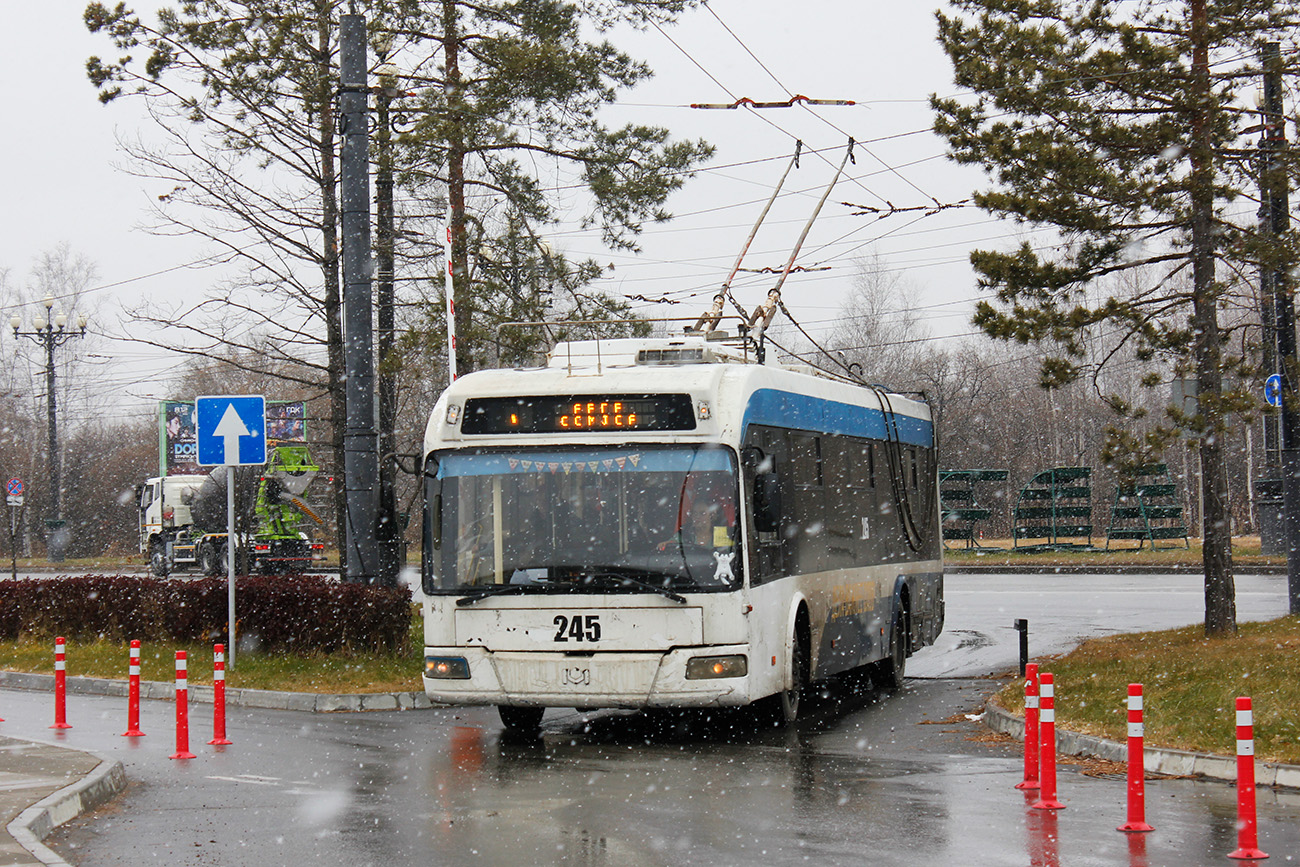 Хабаровск, БКМ 321 № 245