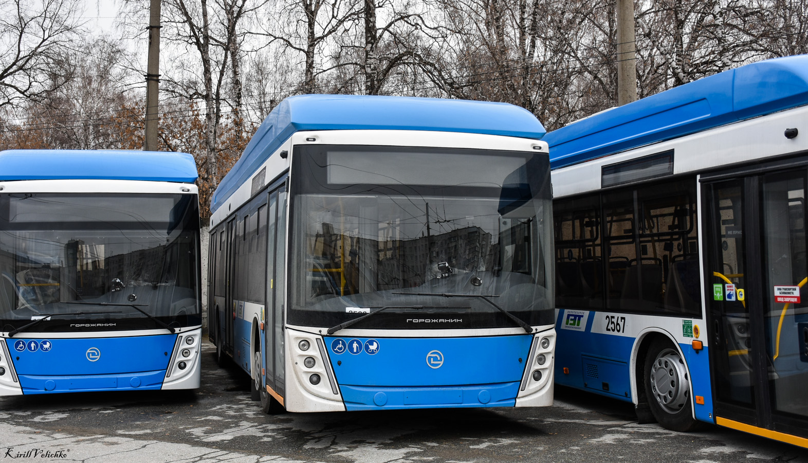 Novosibirsk, UTTZ-6241.01 “Gorozhanin” # 2583