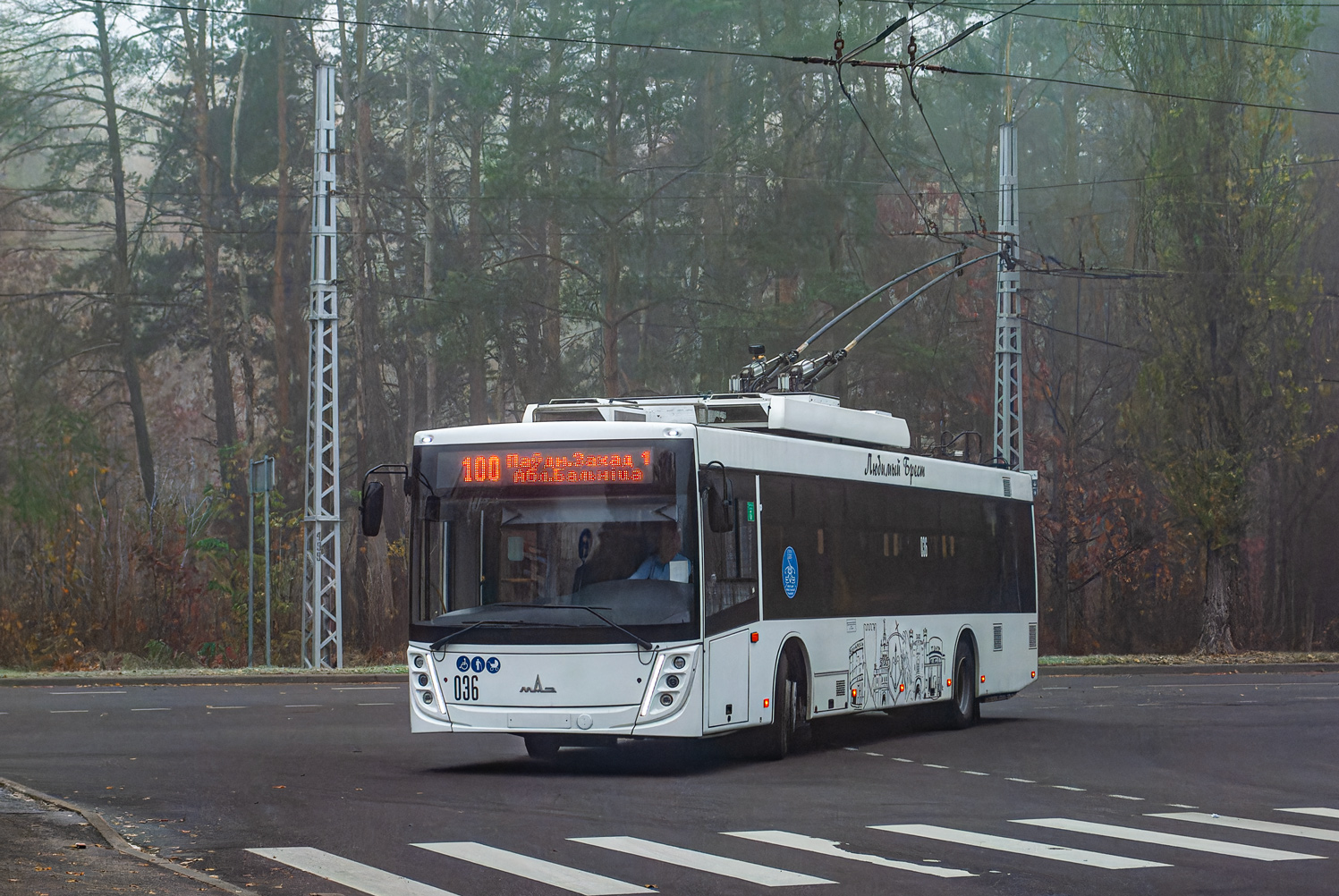 Brest, MAZ-203T70 č. 036