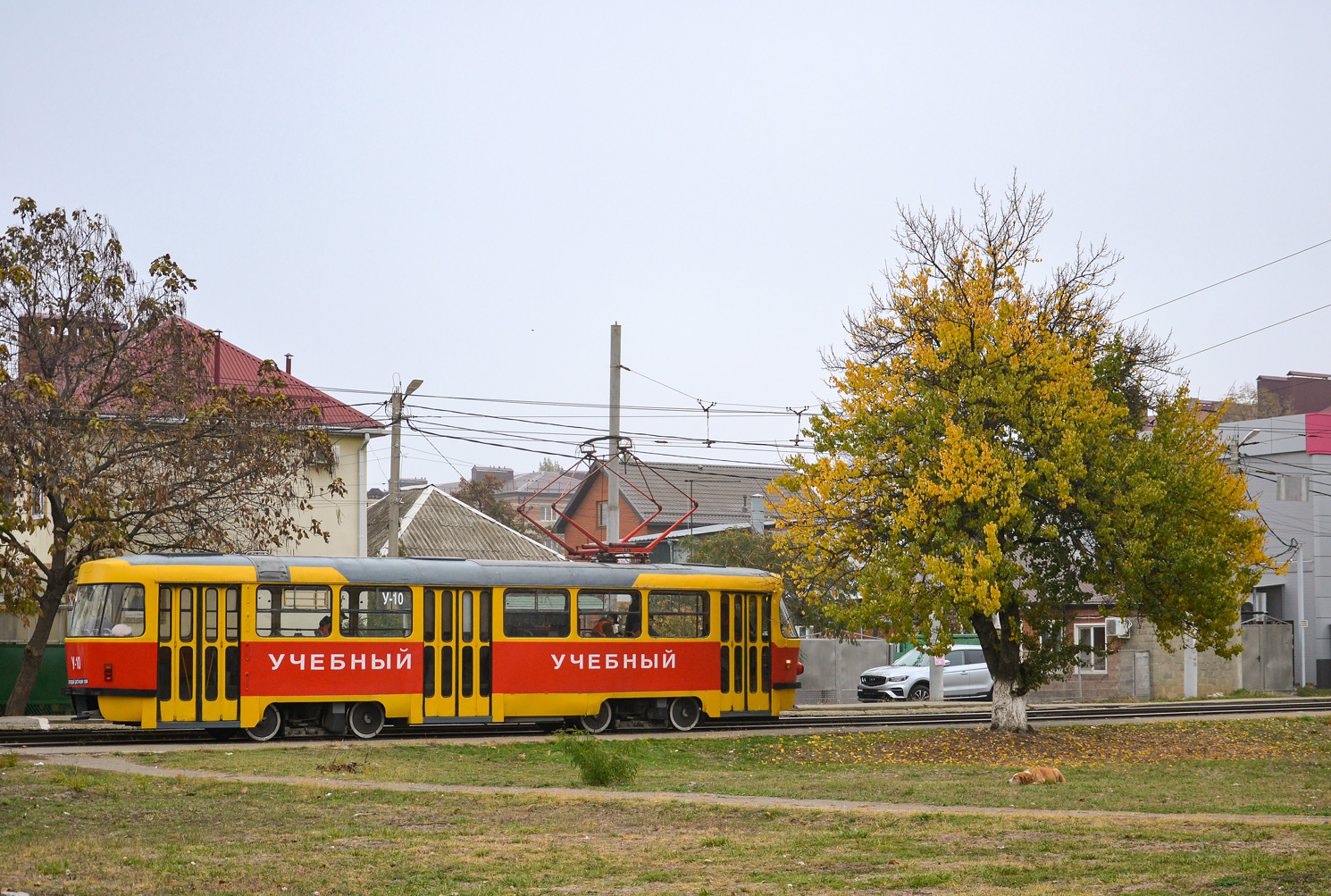 Краснодар, Tatra T3SU № У-10; Транспорт и животные