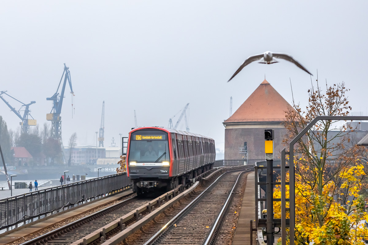 Гамбург, HHA DT5.2.8 № 429; Транспорт и животные