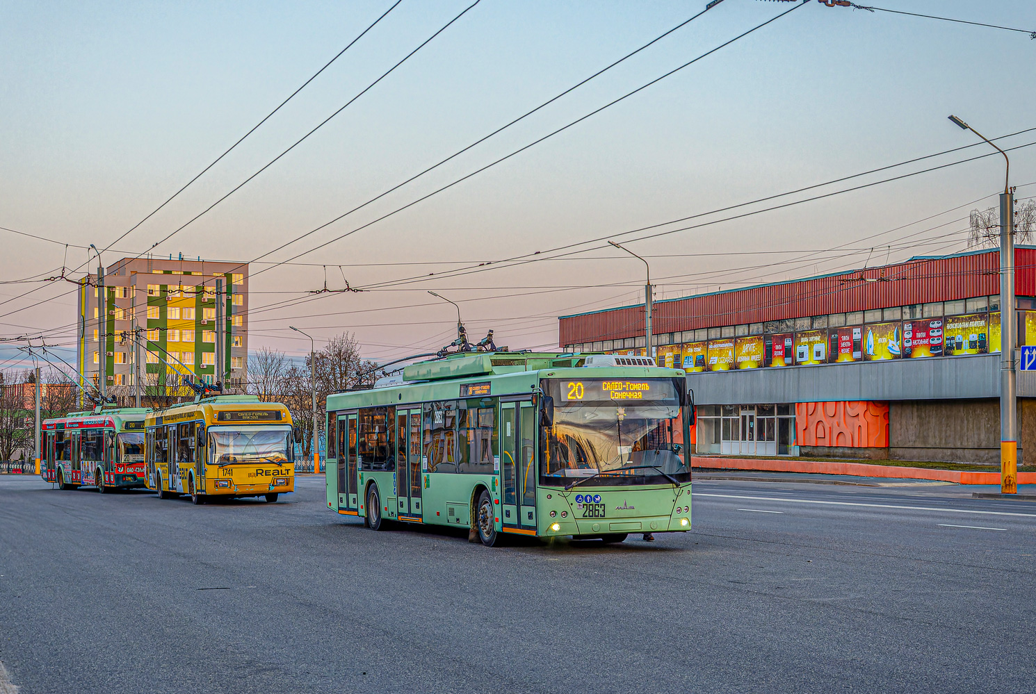 Homiel, MAZ-203T70 № 2863